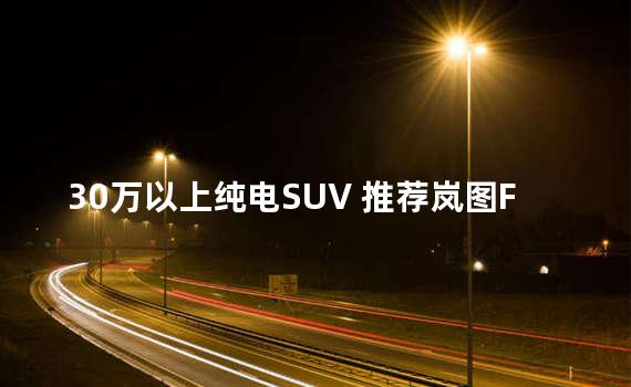 30万以上纯电SUV 推荐岚图FREE/AION LX等车